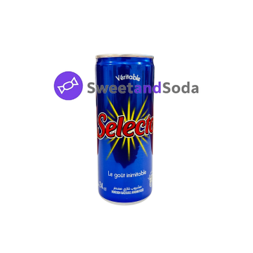 Selecto 24x330ml