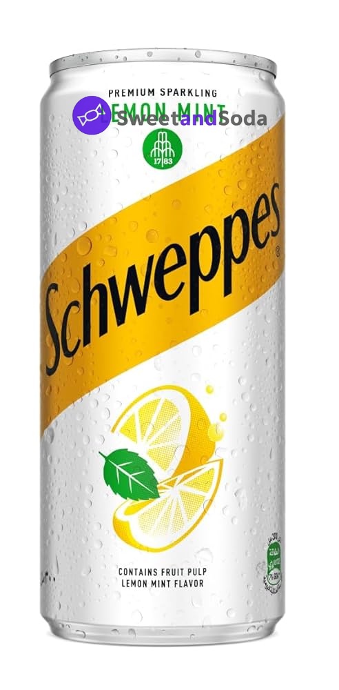 Schweppes Citron Menthe 24x240ml